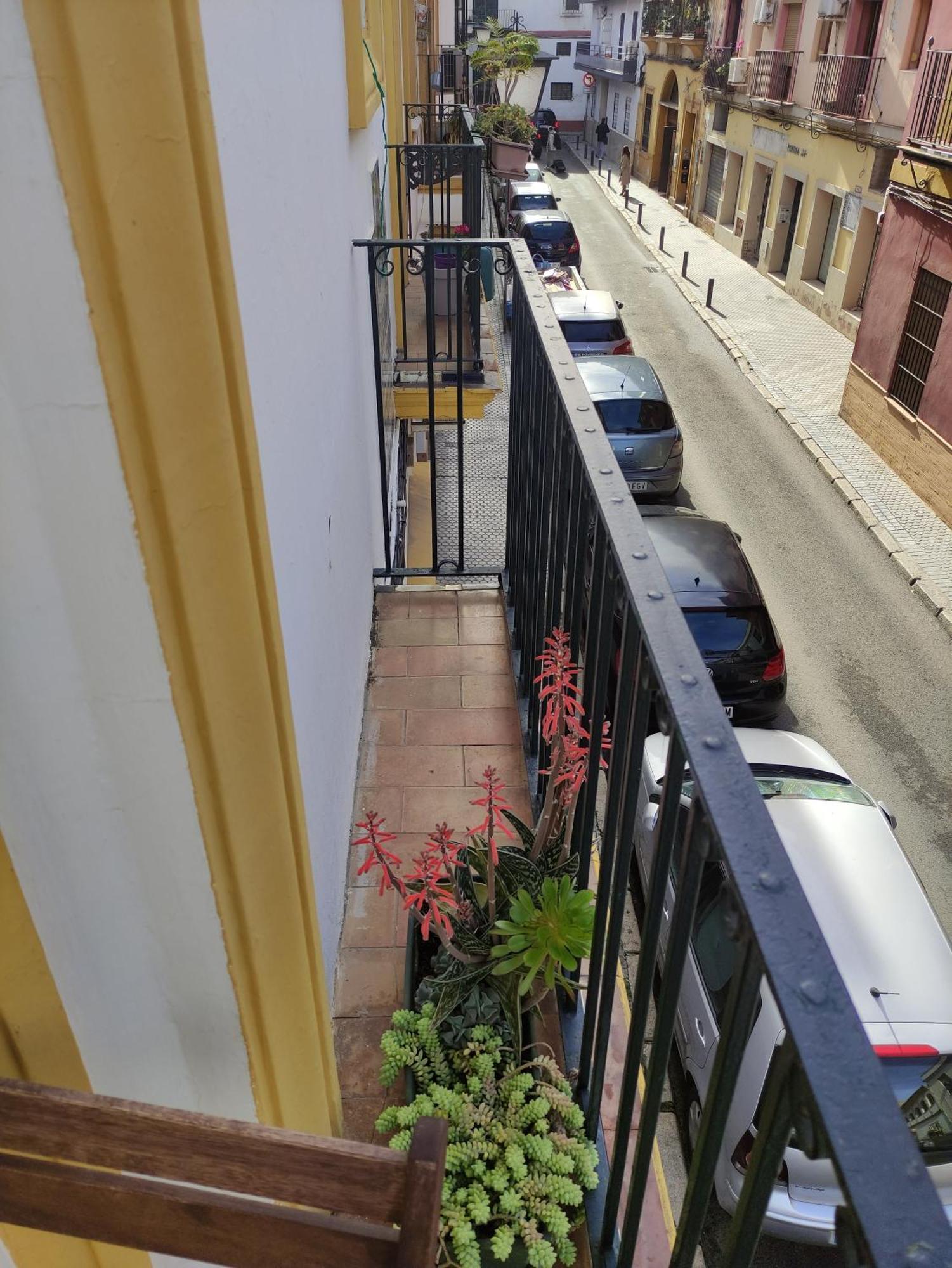 Vive Triana Sevilha Exterior foto